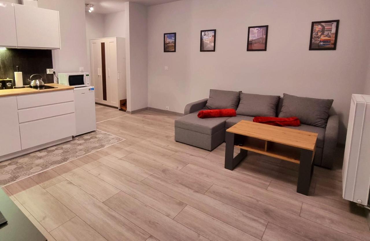 Apartament Kopernika 49 وودج المظهر الخارجي الصورة